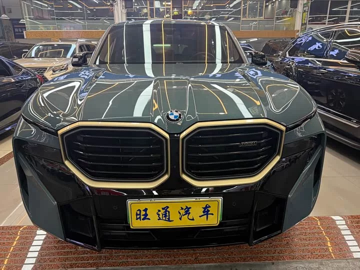 BMW XM