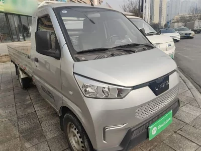 Wuling Electric Card