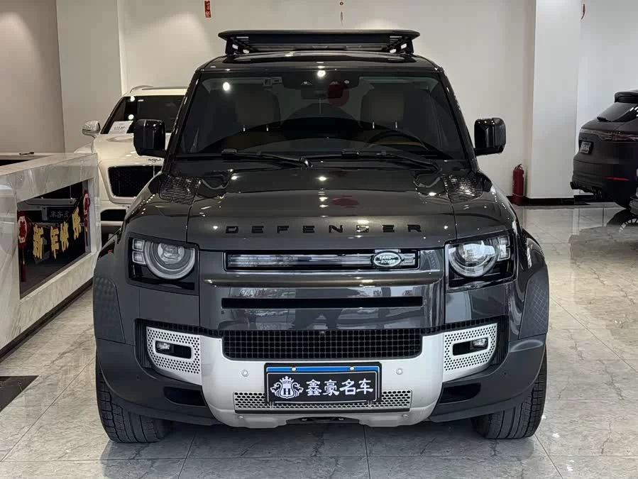 Land Rover guard