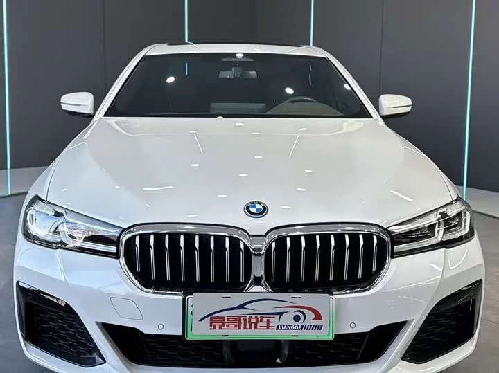 BMW 5 Series New Energy