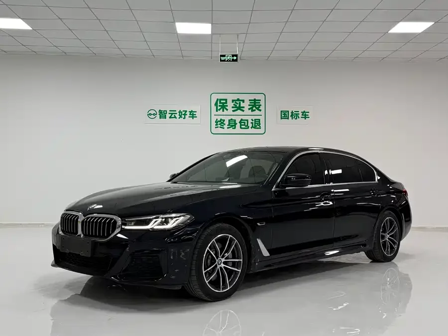 BMW 5 Series New Energy