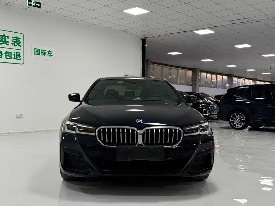 BMW 5 Series New Energy