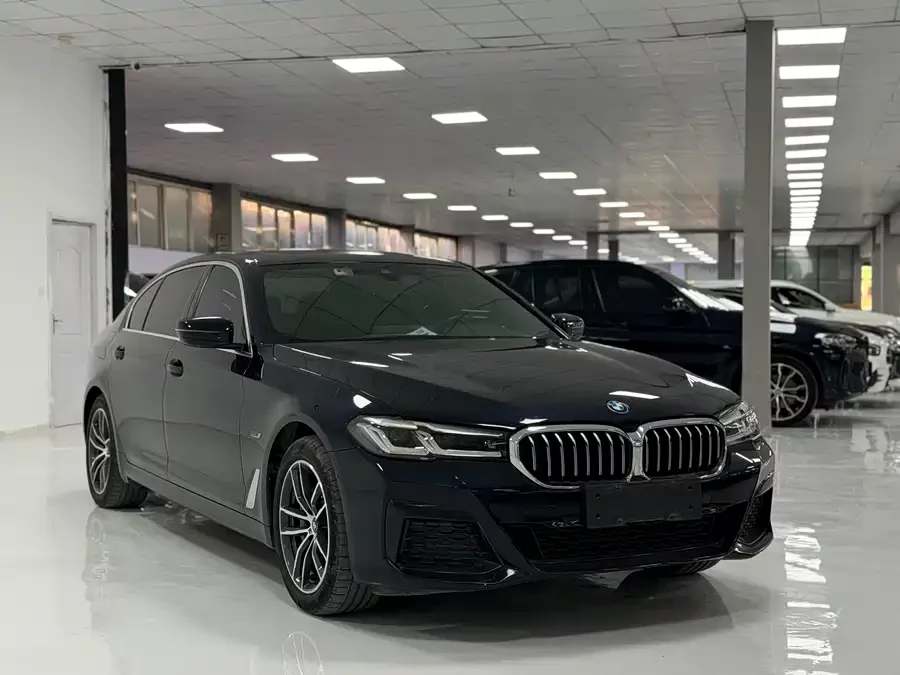 BMW 5 Series New Energy
