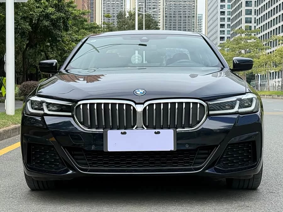 BMW 5 Series New Energy