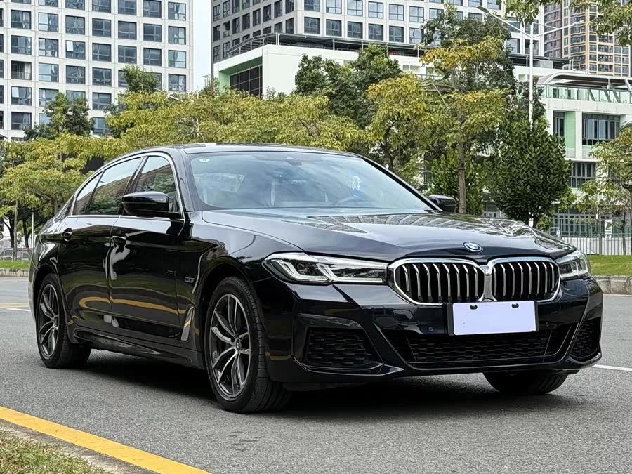 BMW 5 Series New Energy