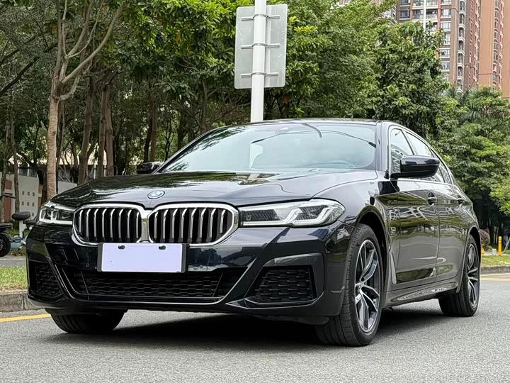 BMW 5 Series New Energy