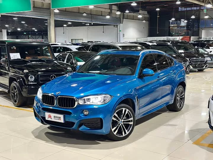 BMW X6
