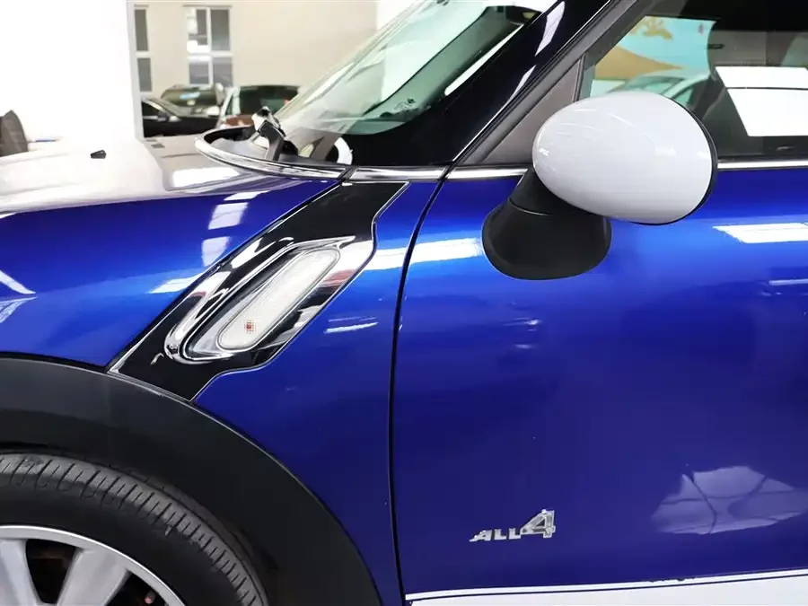 MINI PACEMAN