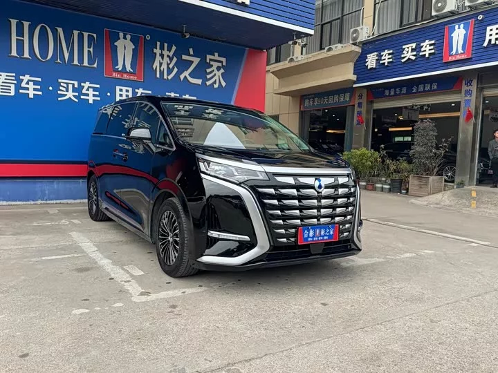 Denza D9