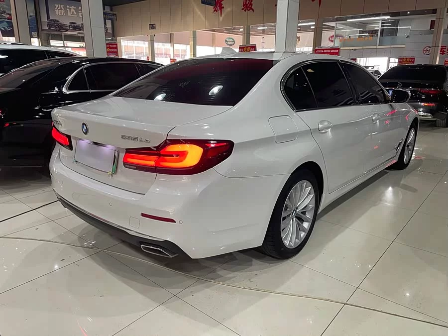 BMW 5 Series New Energy