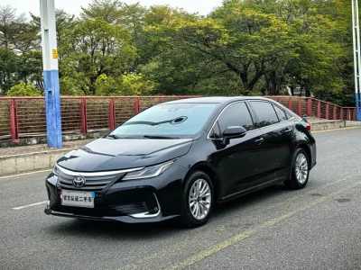 Toyota Asiatic lion