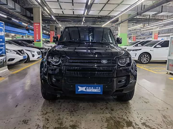 Land Rover guard