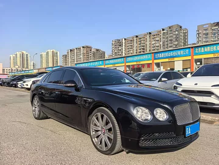 Bentley galloping