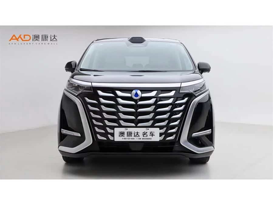 BYD D9