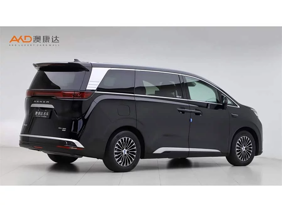 BYD D9