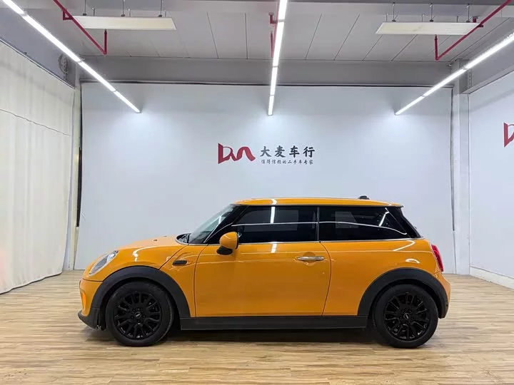 MINI 