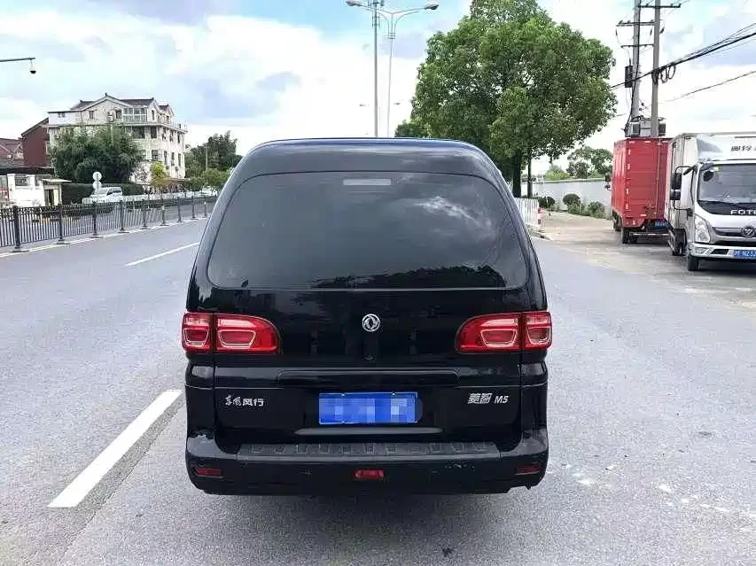 Dongfeng Lingzhi