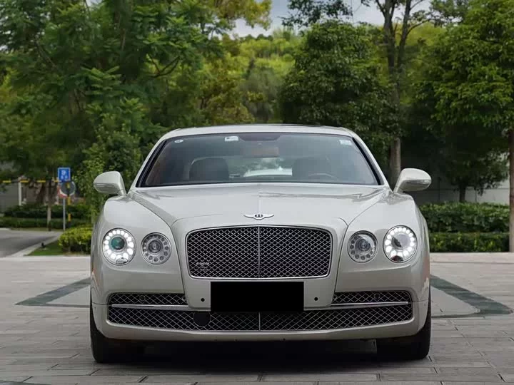 Bentley galloping