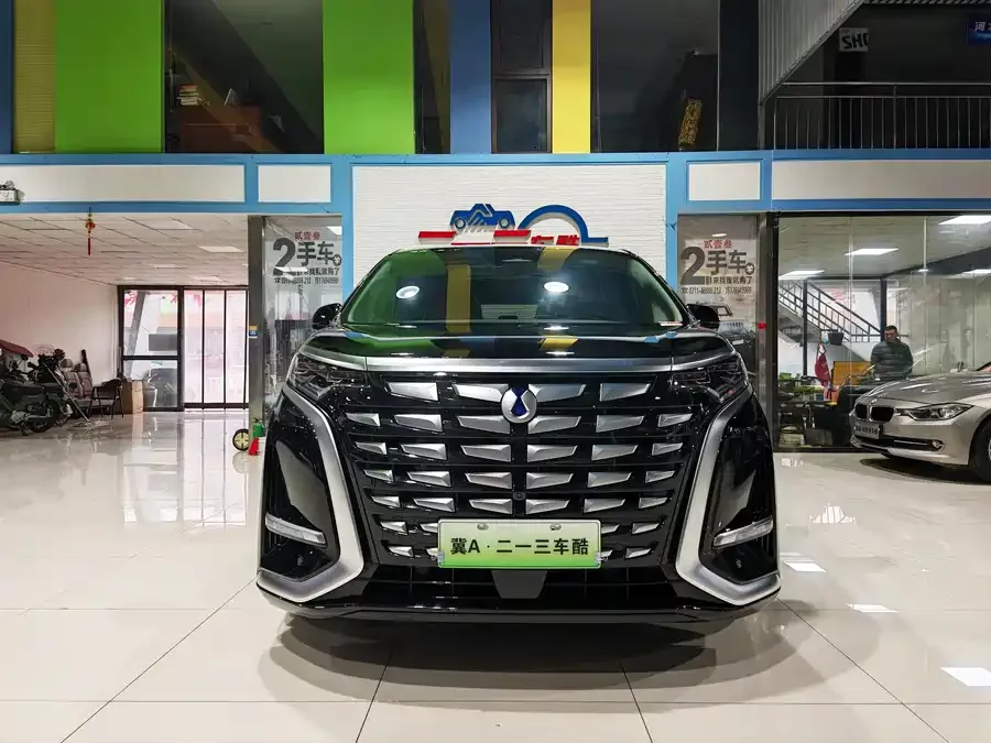 BYD D9