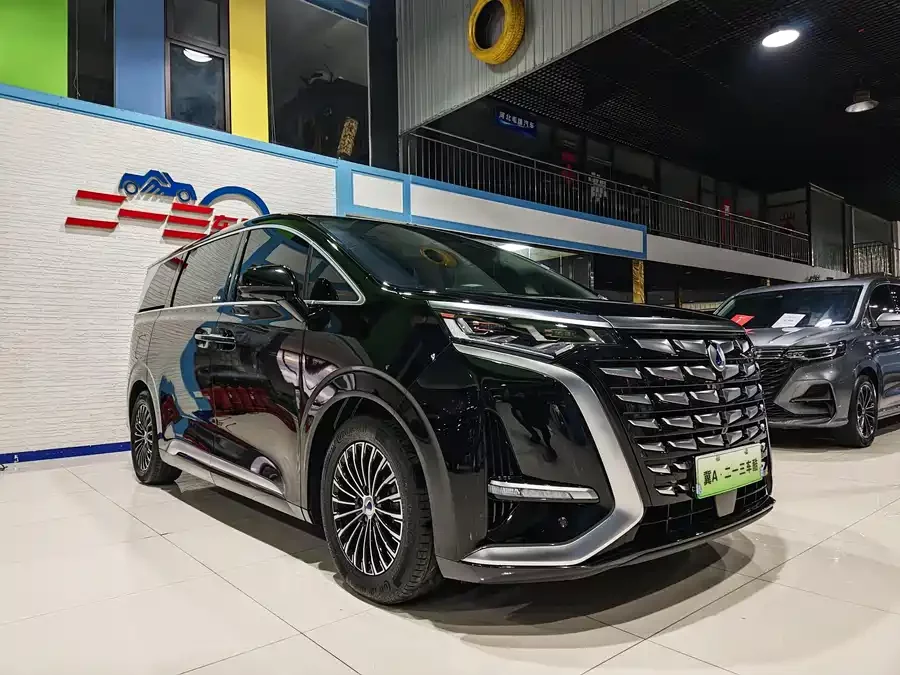 BYD D9
