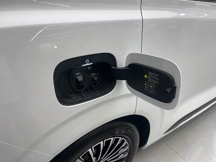 Denza D9