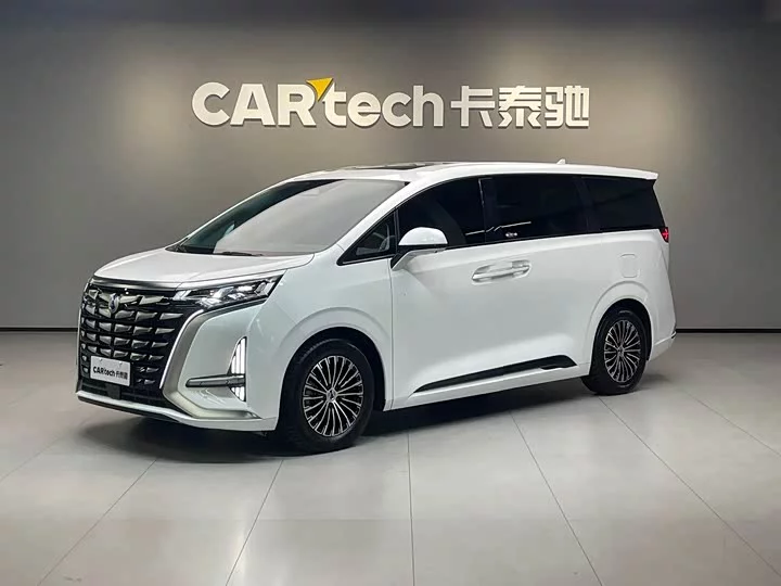 Denza D9