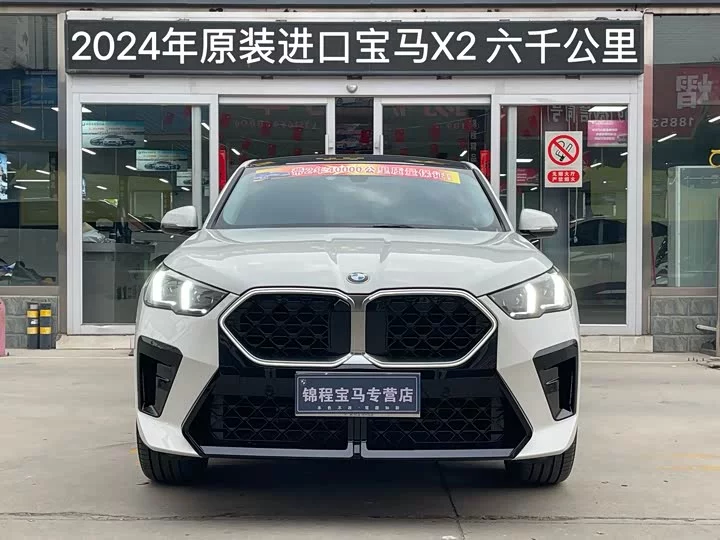 BMW X2