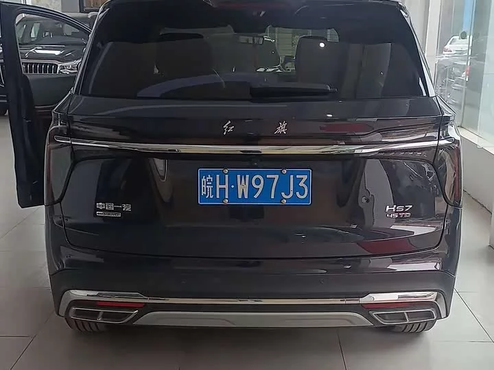 Hongqi HS7