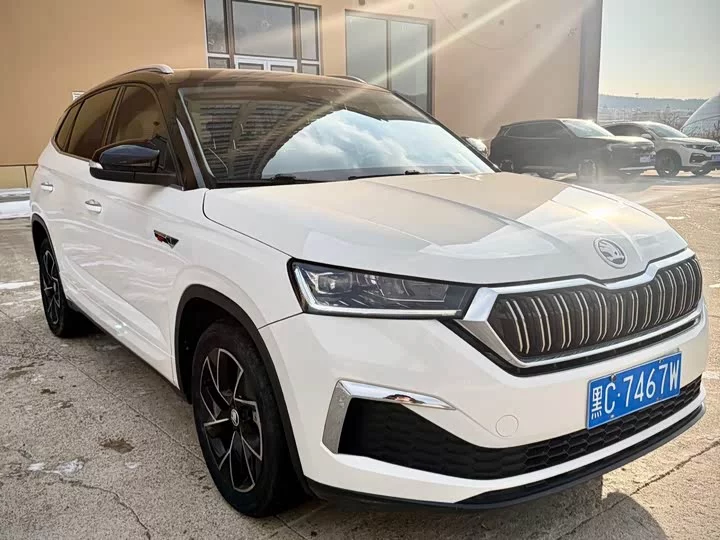 Skoda Comek