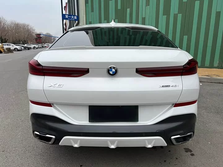 BMW X6