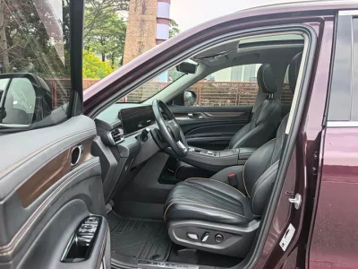 Ford Lingyu