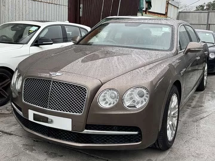 Bentley galloping