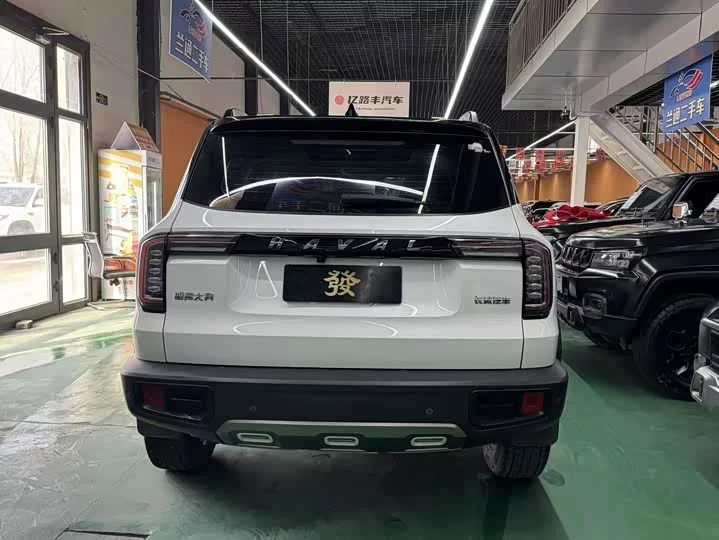 Haval Big Dog DaGou