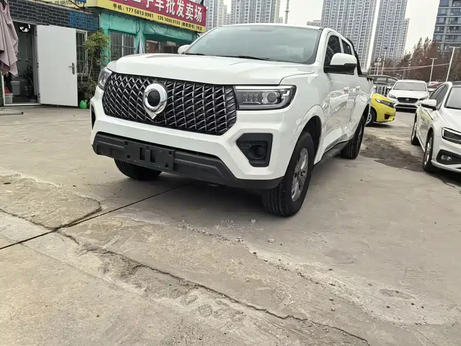 Great Wall gun