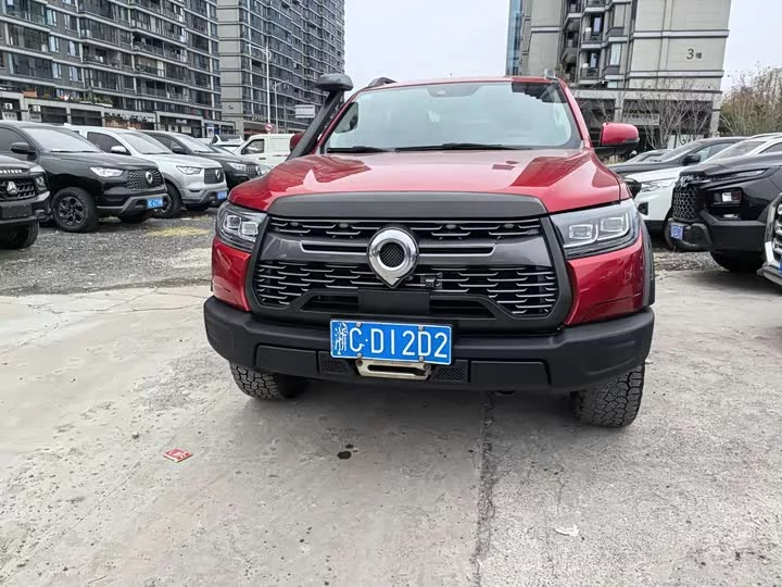 Great Wall gun