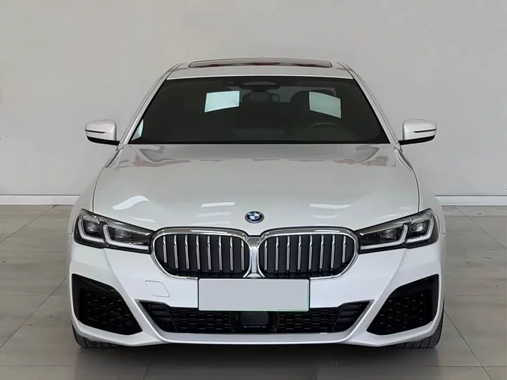 BMW 5 Series New Energy
