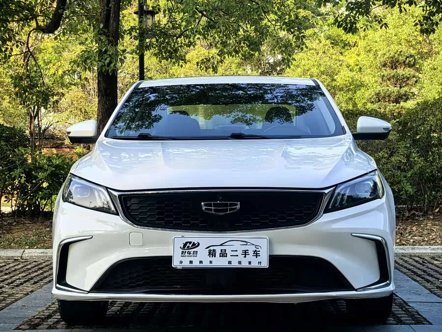 Geely Binrui