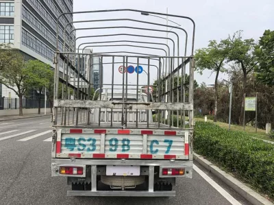 Dongfeng D51