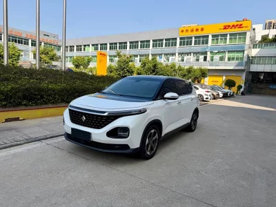 Baojun RM-5