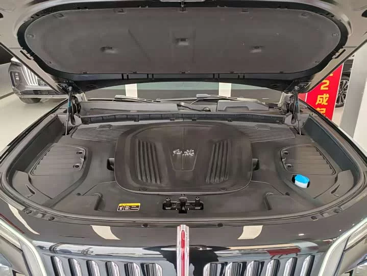 Hongqi E-HS9