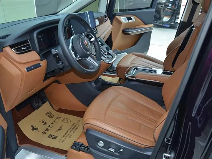 Hongqi HQ9