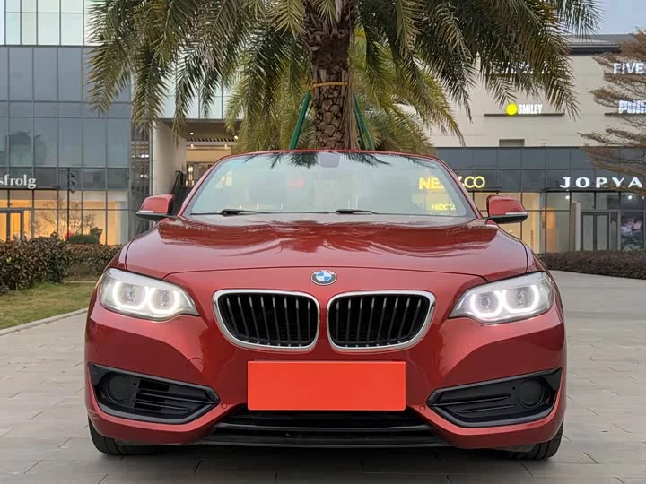 BMW 2 Series