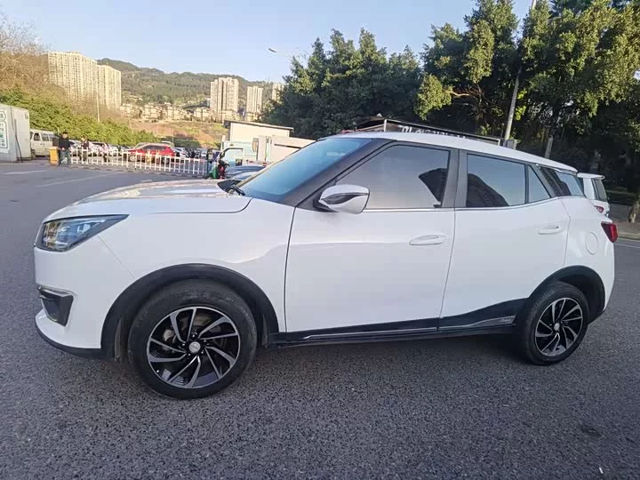 Zotye T300