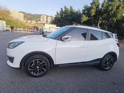 Zotye T300