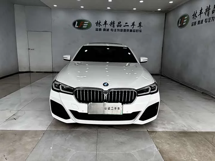 BMW 5 Series New Energy