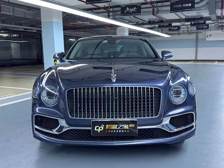 Bentley galloping