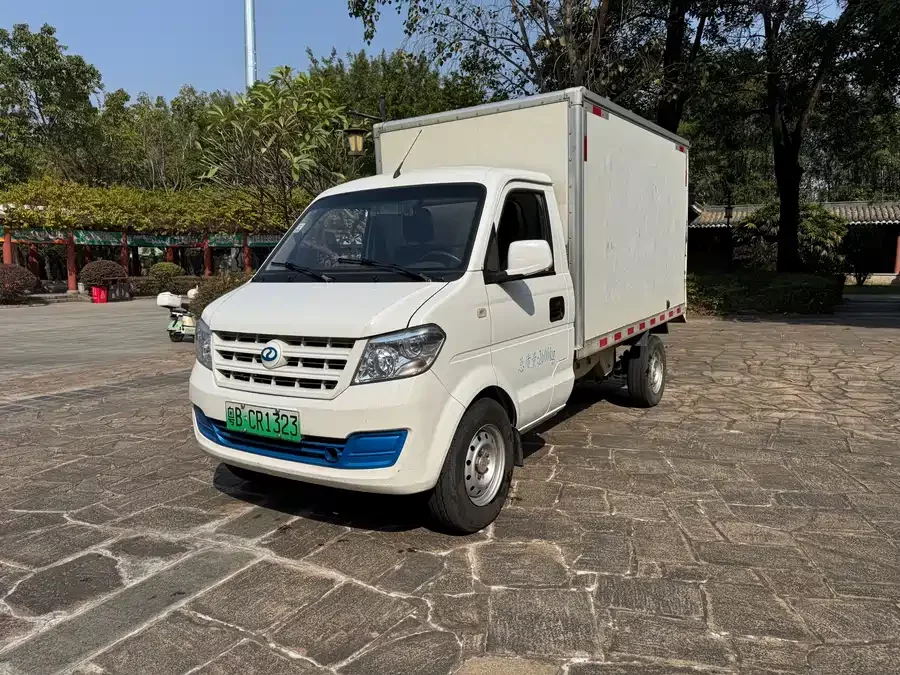 Rich Cars Rich New Energy EC31