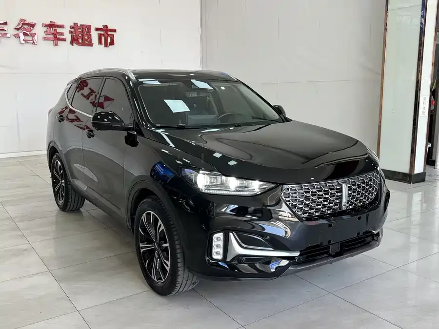 Wey VV6