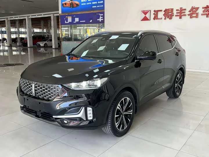 Wey VV6