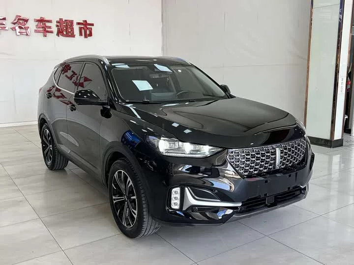 Wey VV6